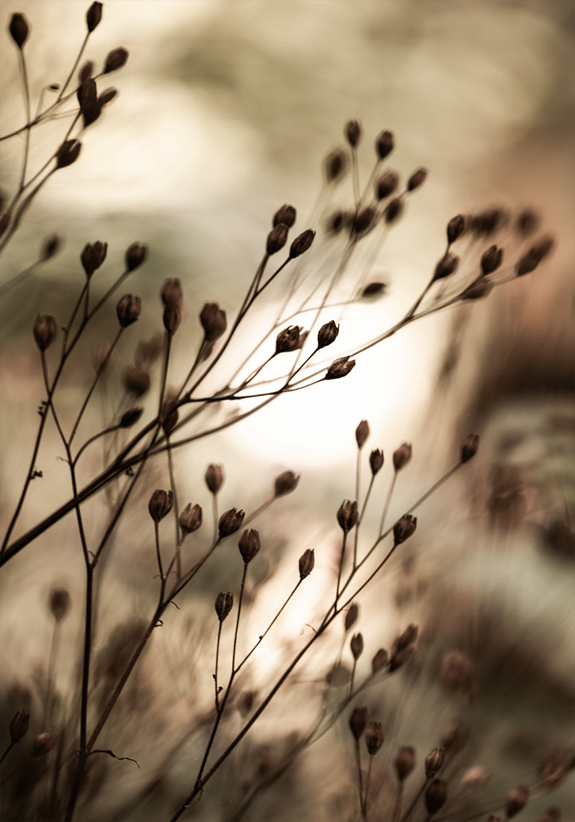 Lumières d'automne