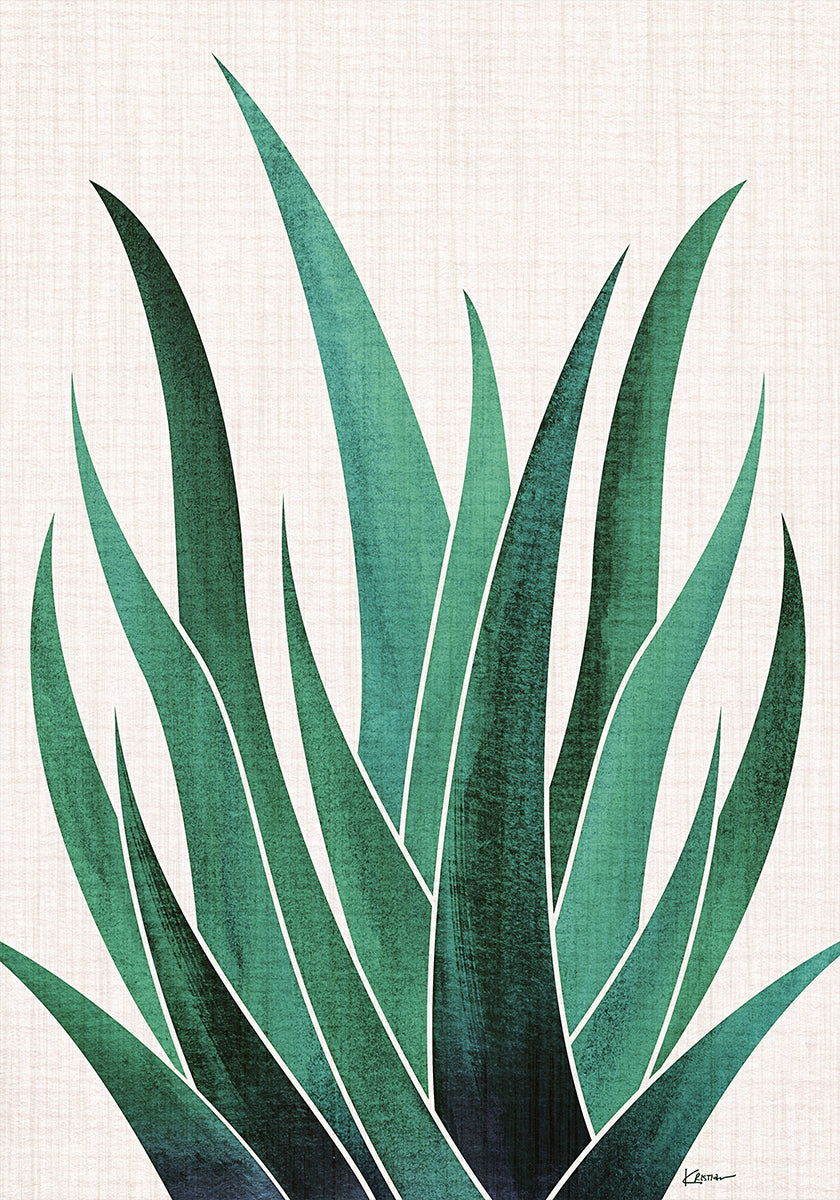 Cactus d'agave du désert Poster