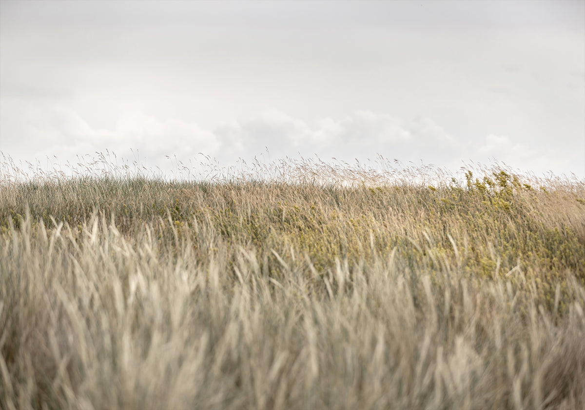 Dunes et nuages ​​2