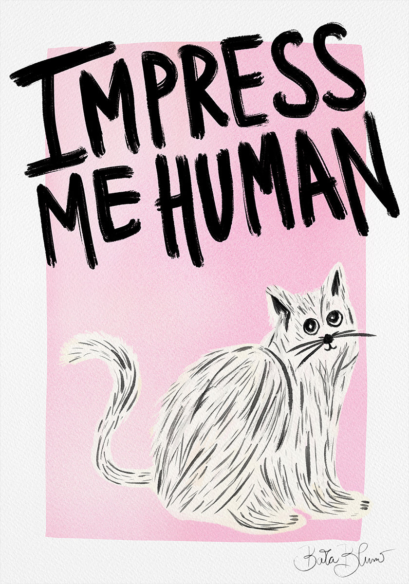 Propriétaire de chat - Impressionnez-moi humain Poster