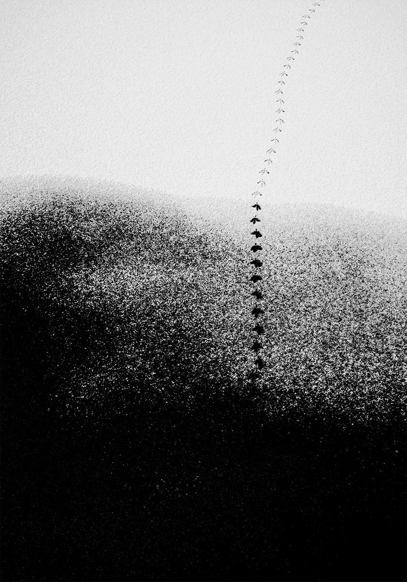 Poster Des pas dans la neige