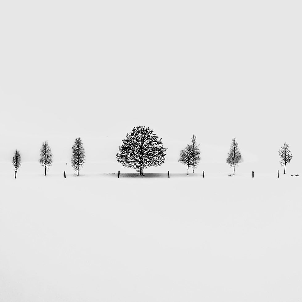 Together Alone Plakater