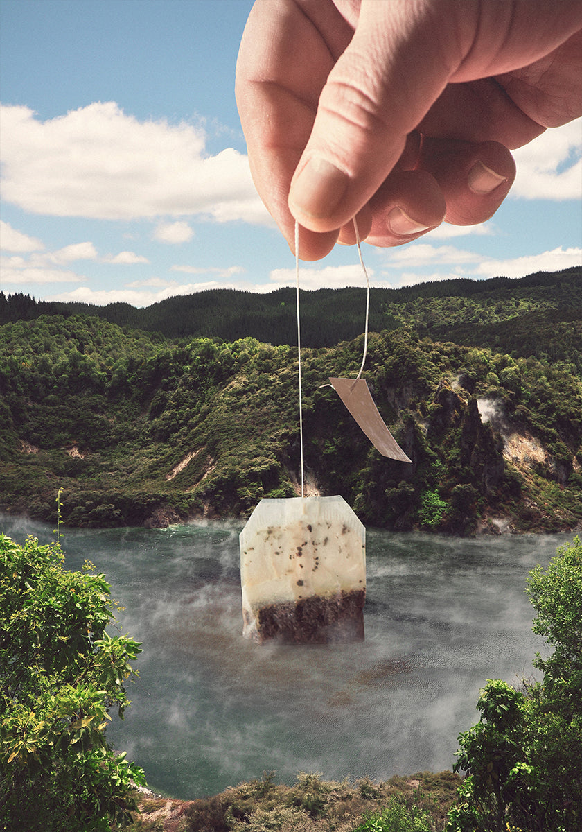 Thé de l'après-midi du lac - Sachet de thé