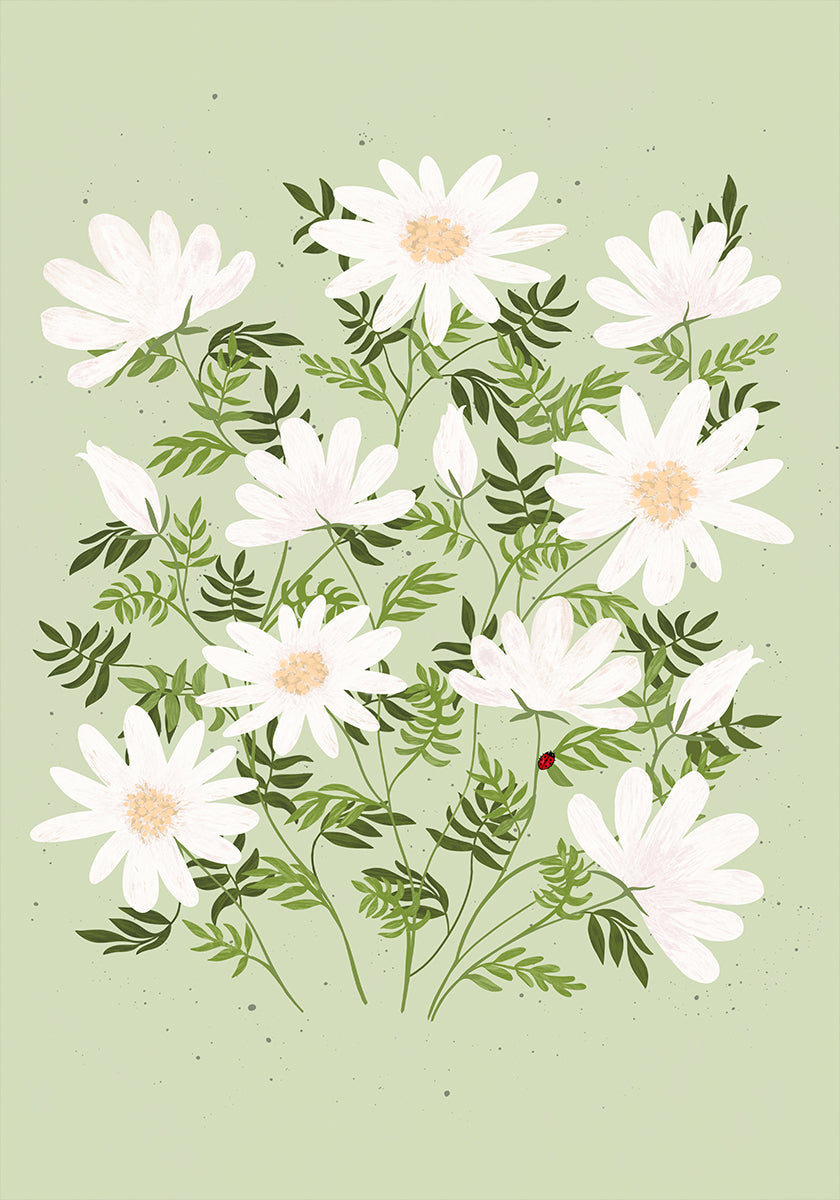 Fleurs de coccinelle