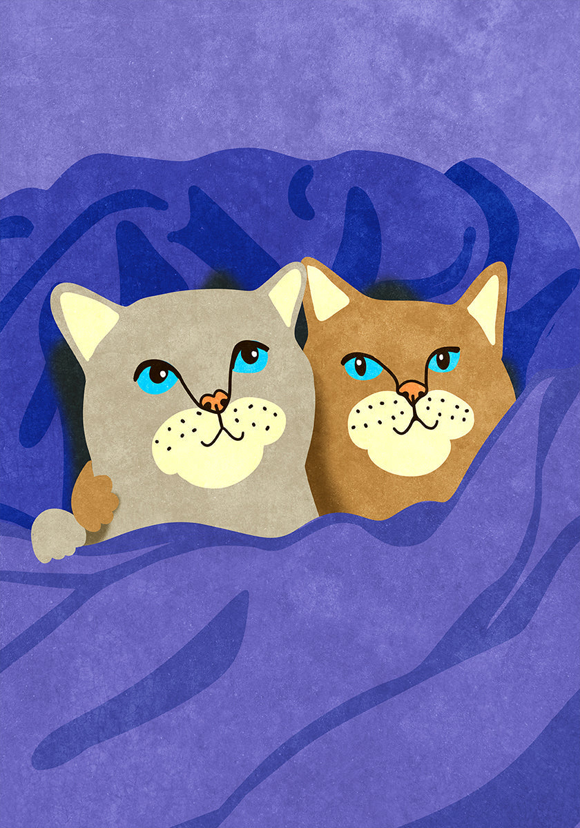 Chats au lit