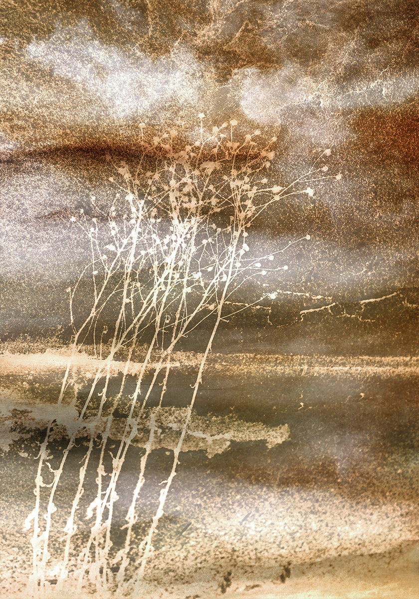 Rêves séchés Poster