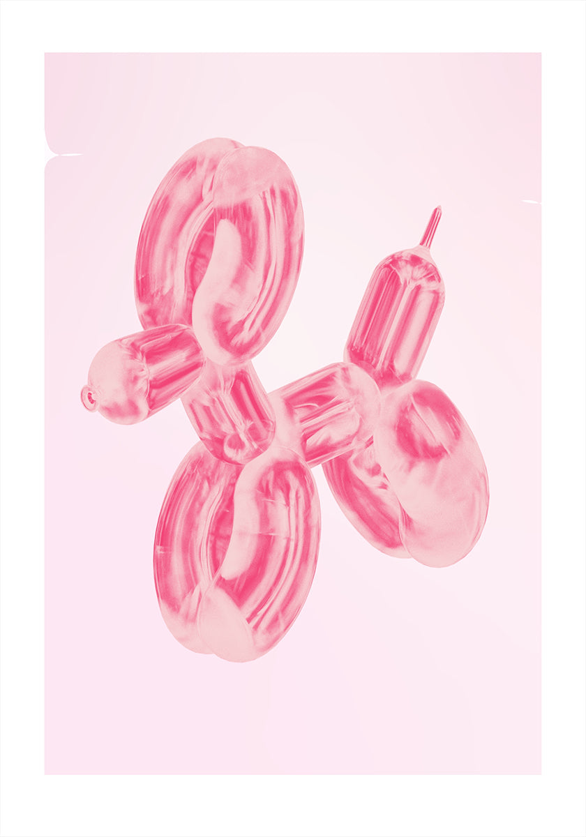 Chien Ballon