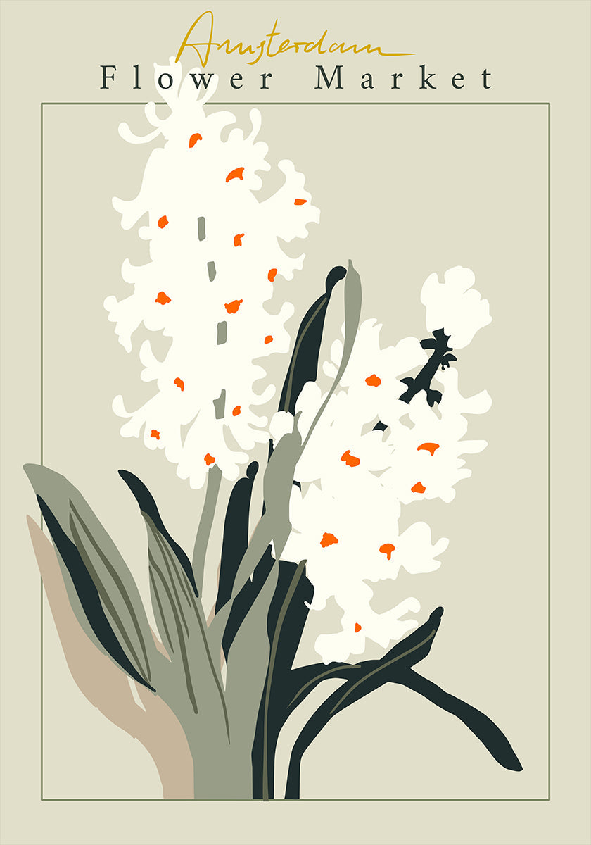Affiche Jacinthe du marché aux fleurs d'Amsterdam