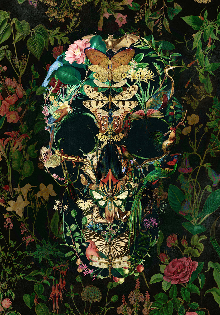 Crâne de papillon Poster