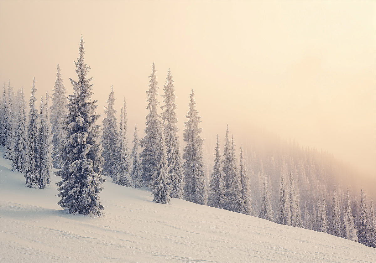 Paysage d'hiver pins enneigés Poster