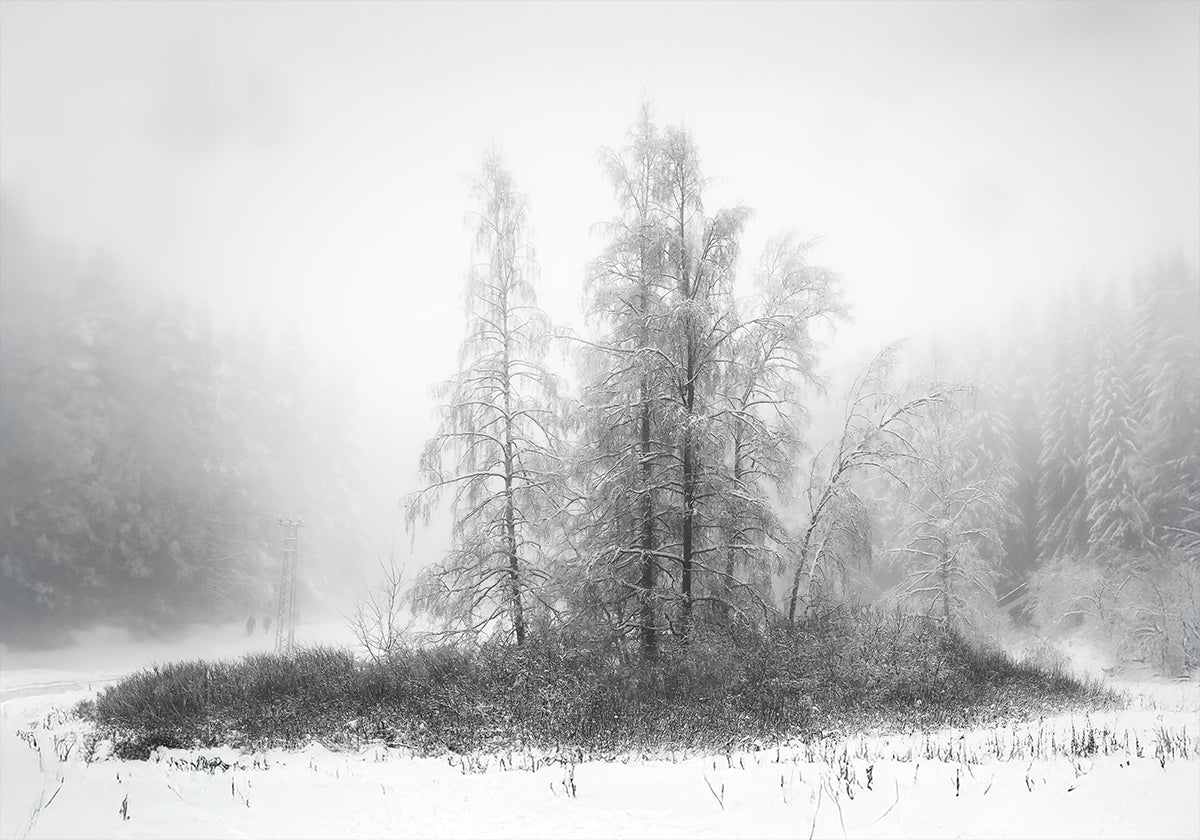 L'hiver dans la montagne Poster