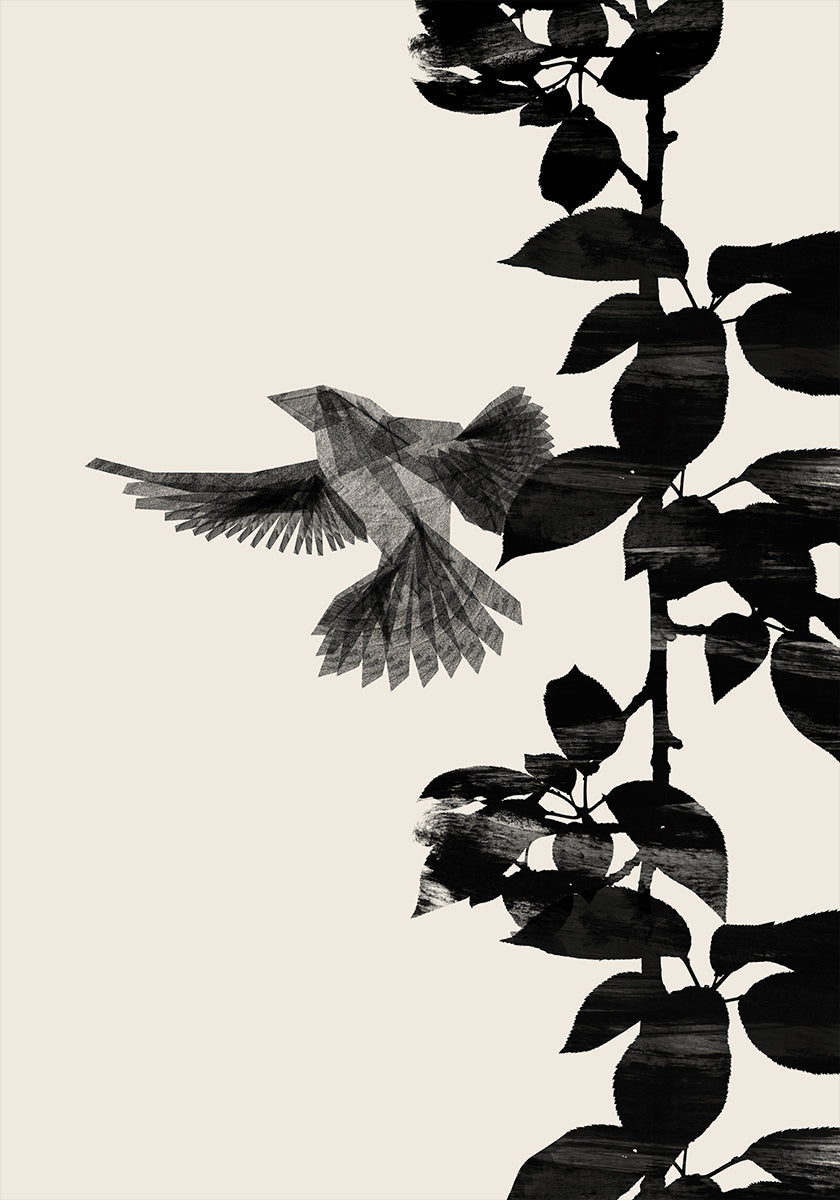 Oiseau Botanique une affiche 20x30