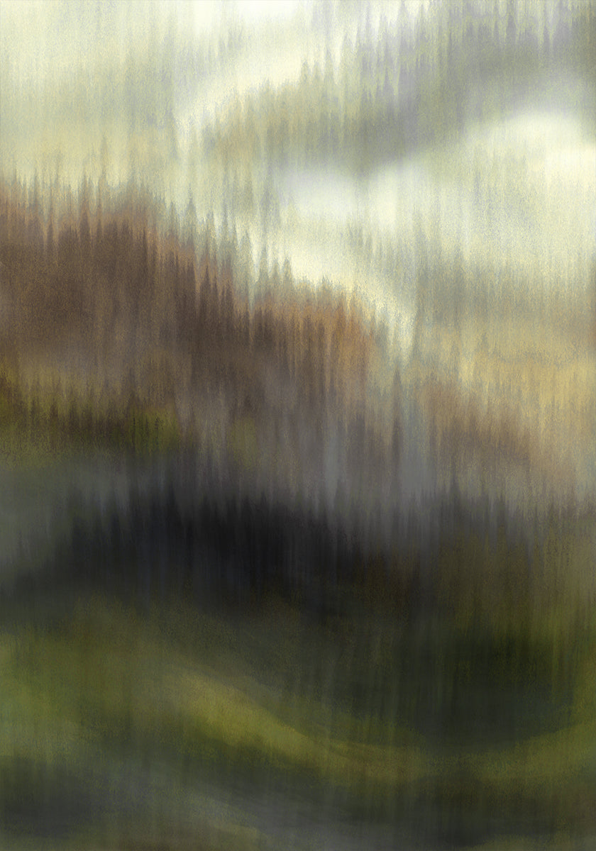 Voile de forêt brumeuse