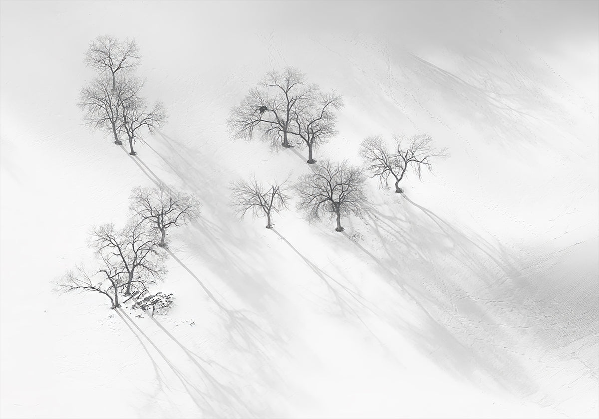 Rêve d'hiver - un ballet immobile Poster