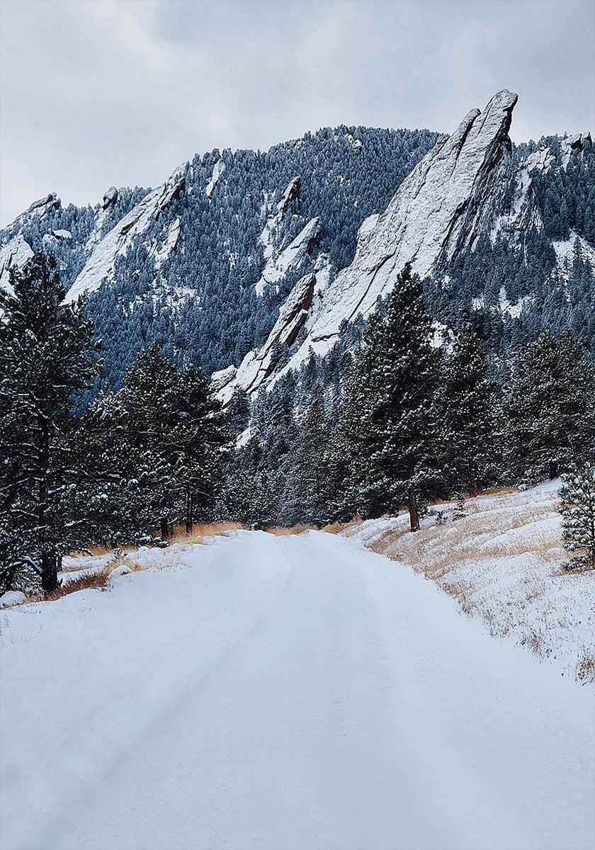 Flatiron congelé Poster