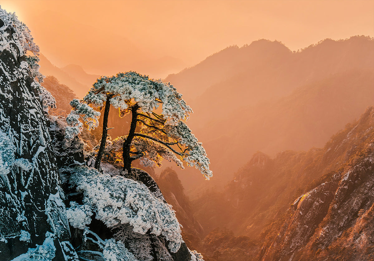 La résilience à la limite Poster