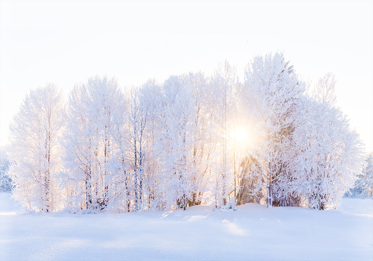 La lumière revient Poster