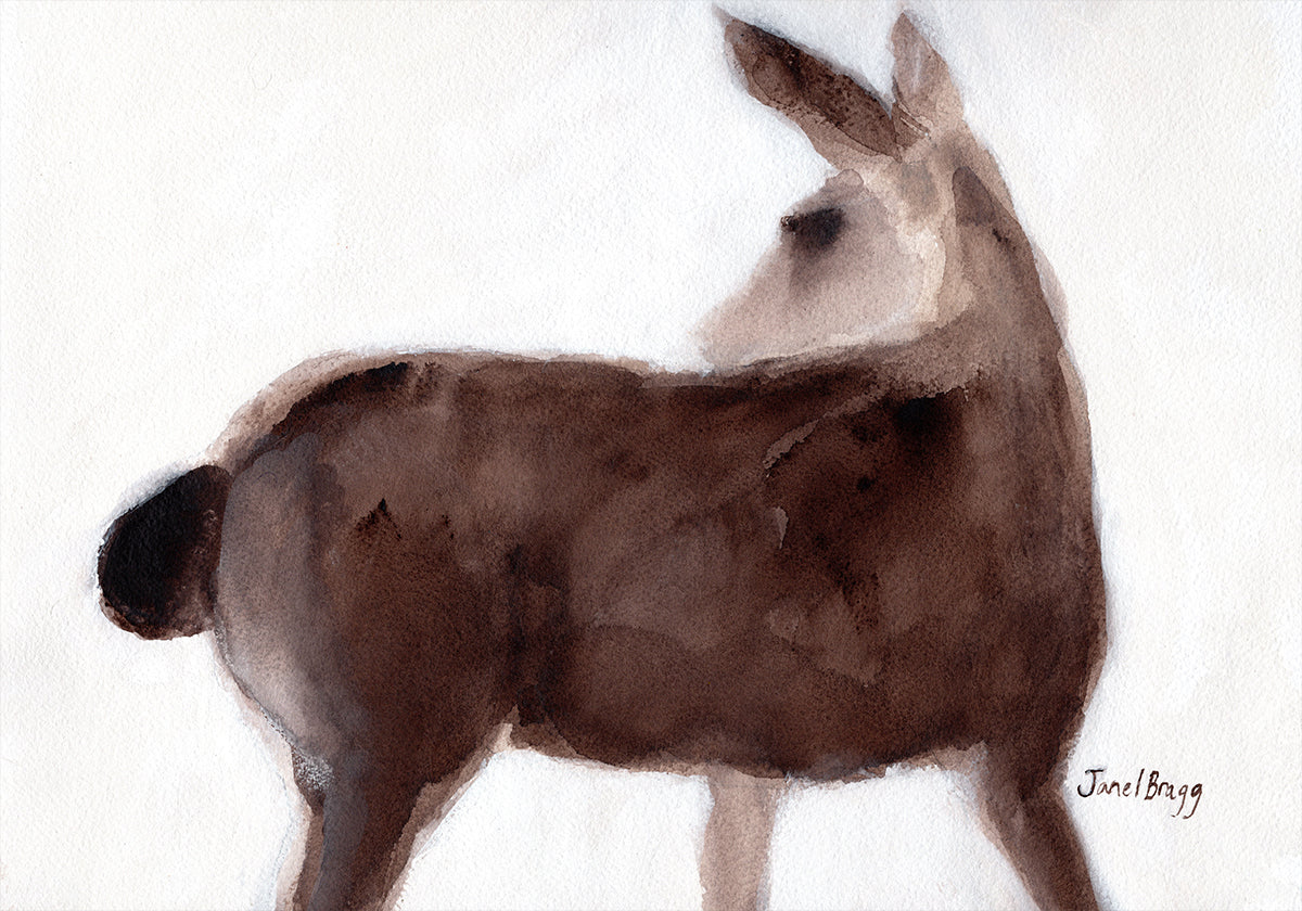 Cerf sur Creekside Lane Poster