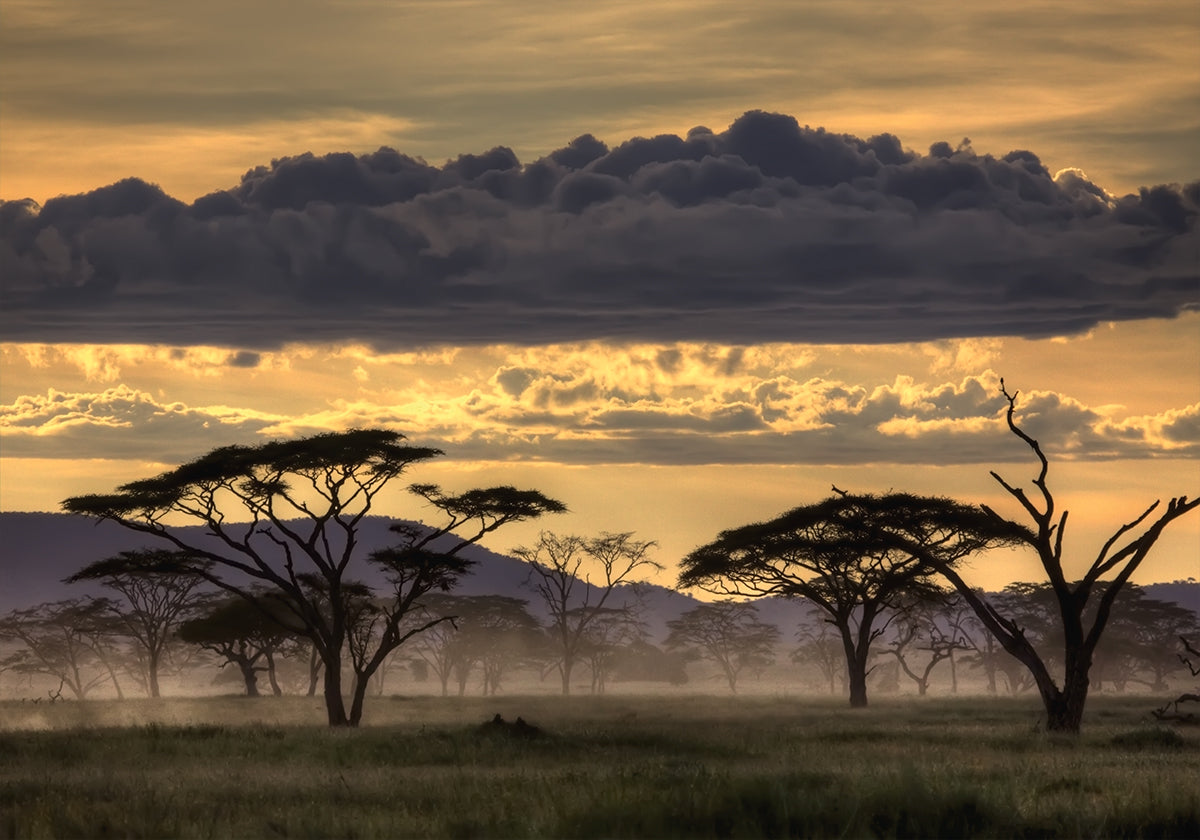Bonsoir Tanzanie