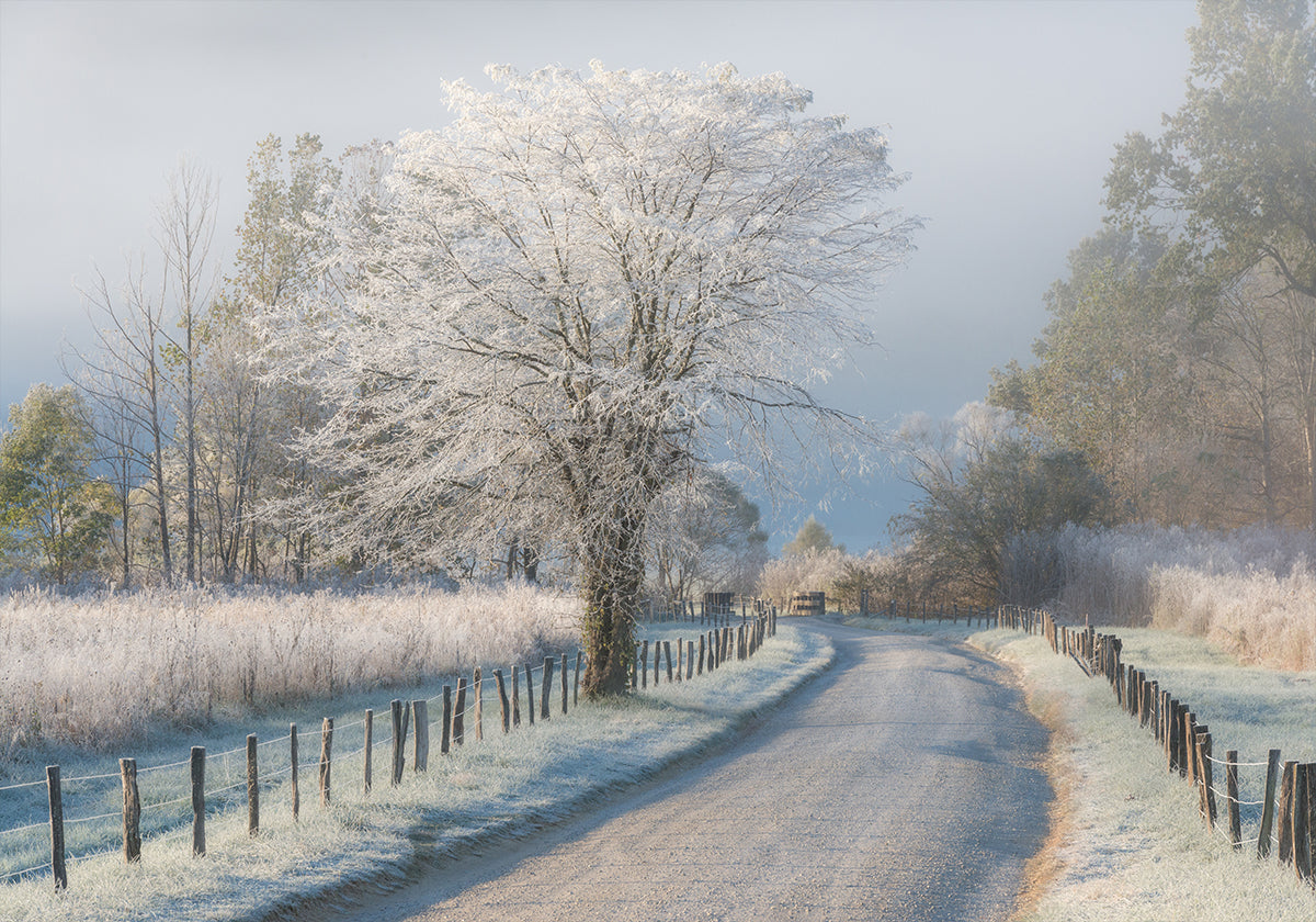 Un matin glacial Poster