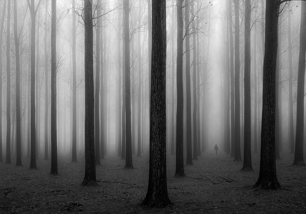 Dans un brouillard