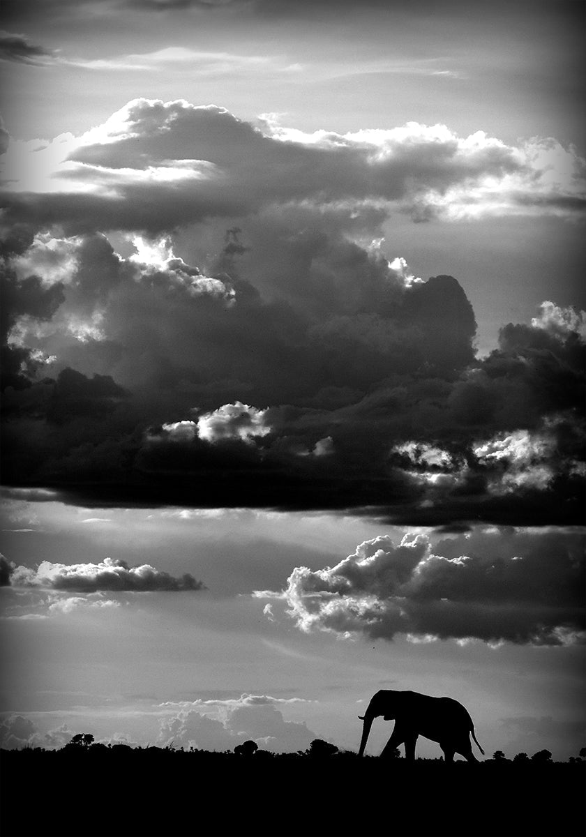 Il marche sous un ciel africain