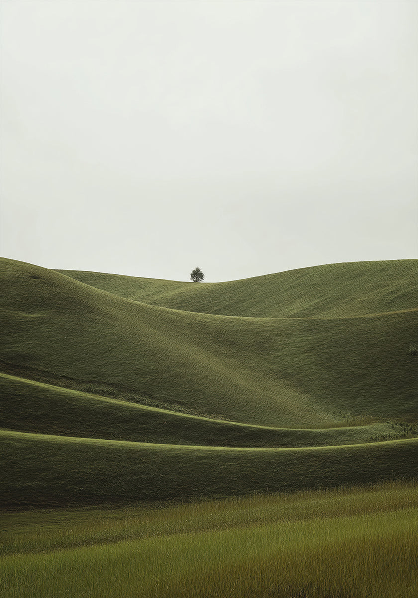 Foggy Green Hill (NEW) - Posterbox