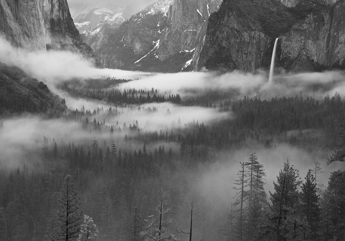 Brouillard flottant dans la vallée de Yosemite