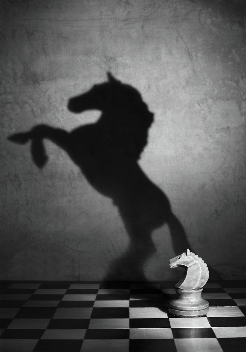 L'âme d'un mustang