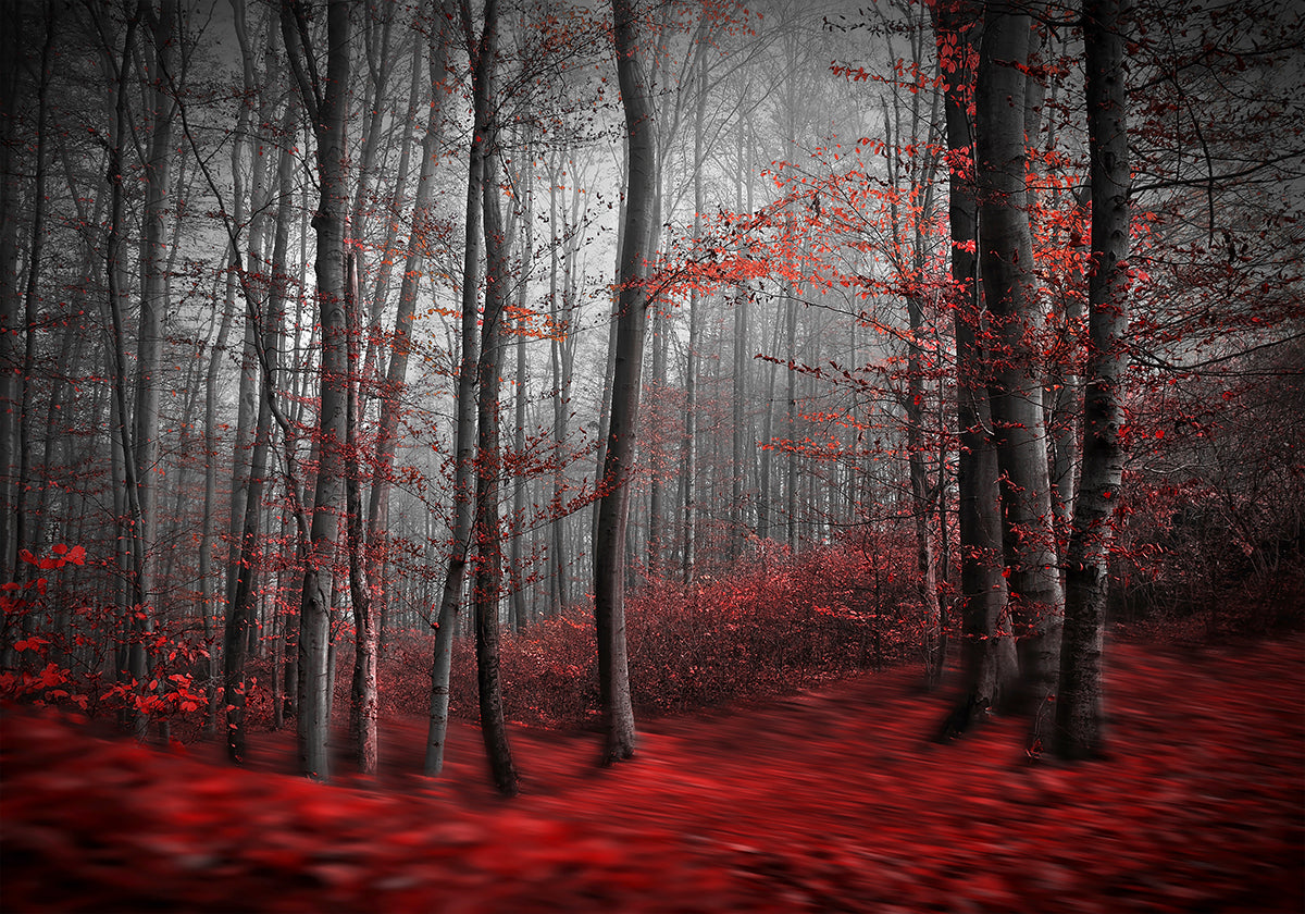 Rivière sanglante Poster