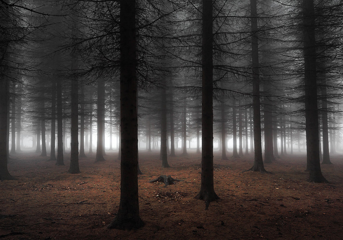 Silence