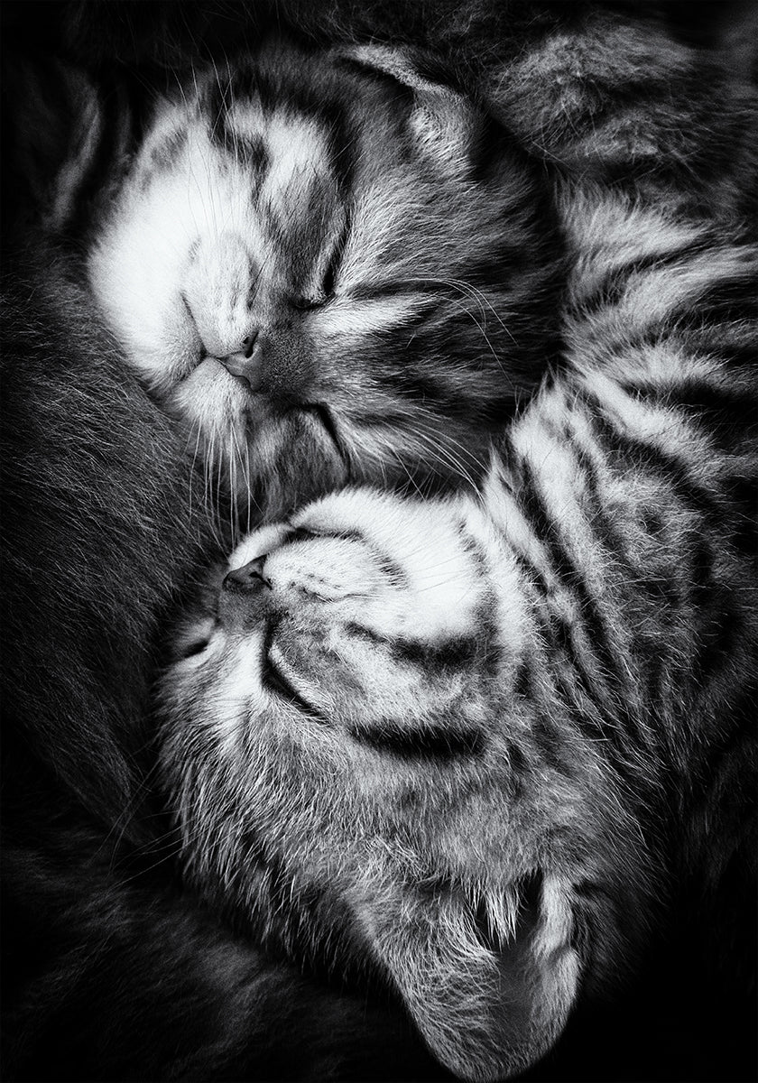 Yin et Yang