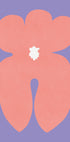Pink Orchid Flower (NEW) - Posterbox