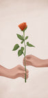 A Rose for You Plakat - Posterbox