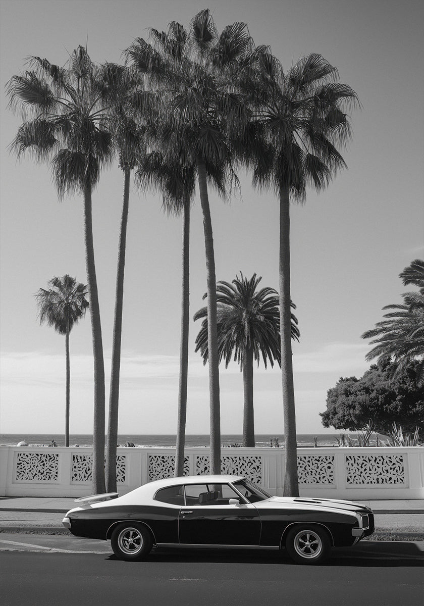 4 036 Topaz Plakat - Posterbox