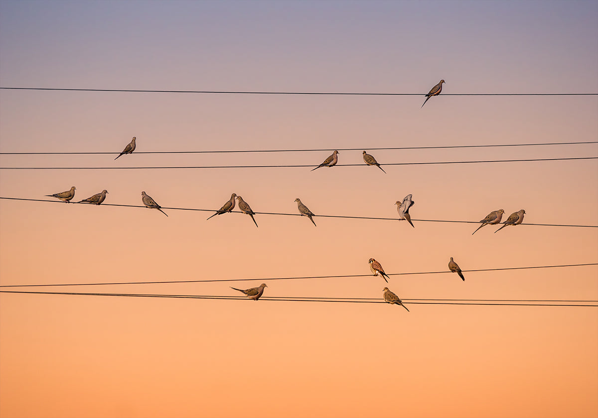 Musique de lumière