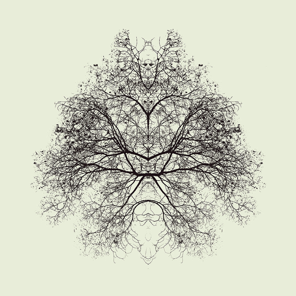 Test de Rorschach Poster