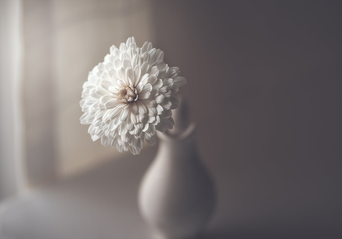 lumière de fenêtre