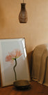 Peachy Poppy Flower Plakat - Posterbox.no