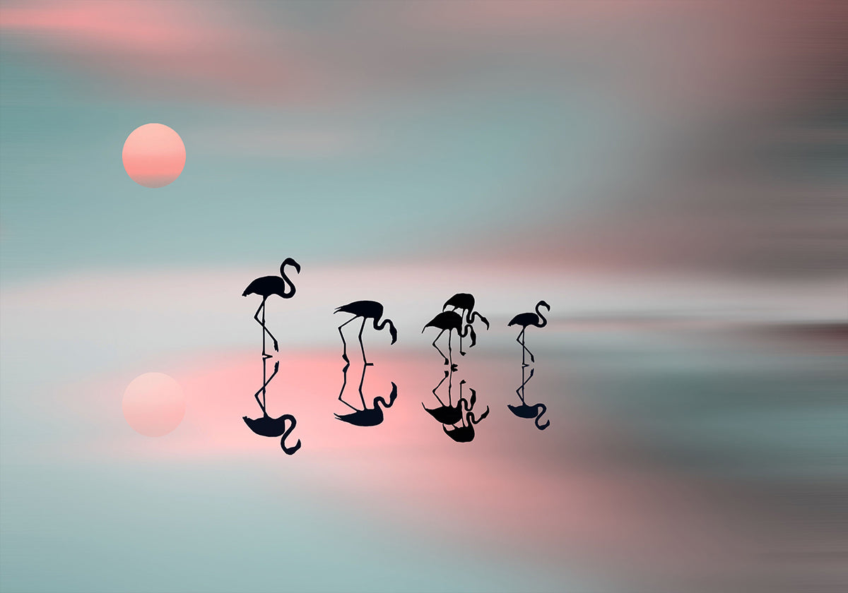 Flamants roses en famille. Affiche