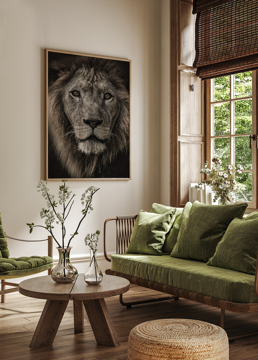 African Lion Plakat - Posterbox.dk