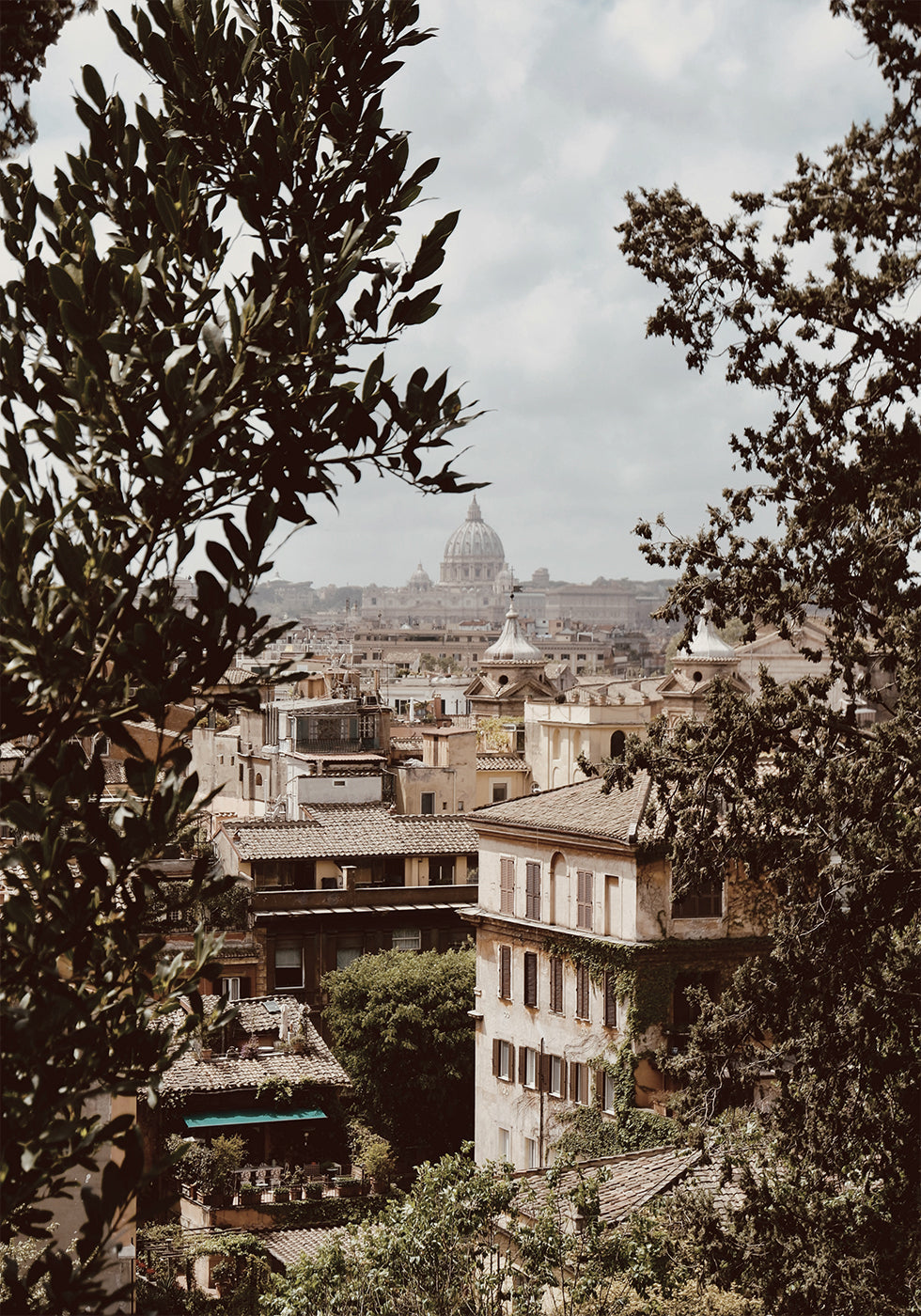 A View Of Rome Through The Leaves Plakat - Posterbox.dk