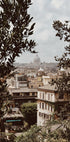 A View Of Rome Through The Leaves Plakat - Posterbox.dk