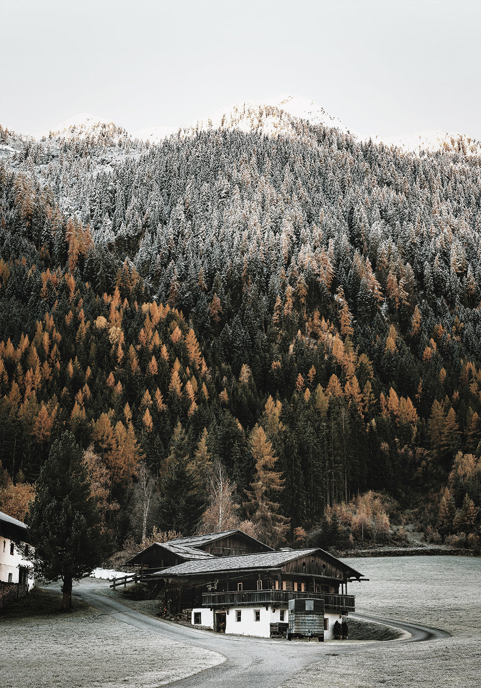 Affiche de maisons rustiques dans les montagnes 