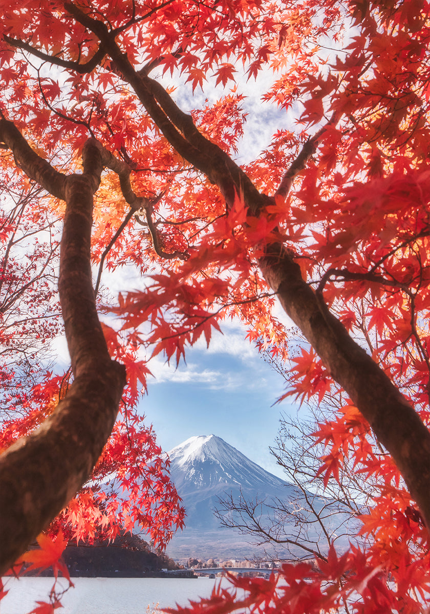 Le mont Fuji est dans les feuilles d'automne Poster