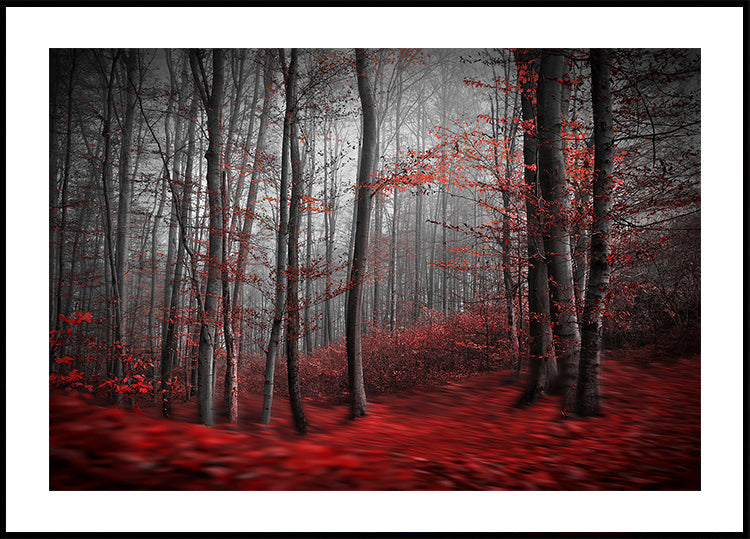 Rivière sanglante Poster