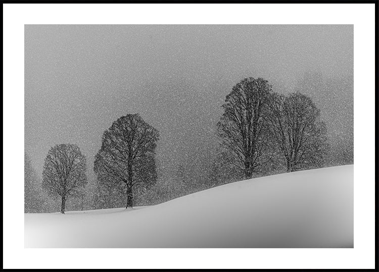 Blanche-Neige Poster