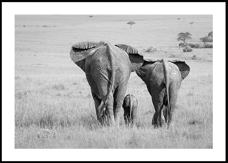 Trois fesses !
