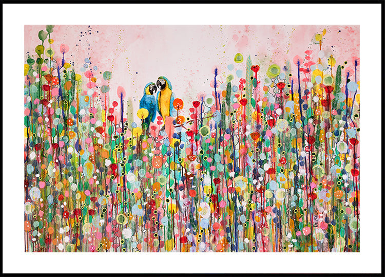 Plumes d'amour
