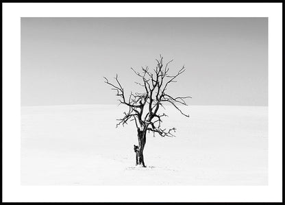 Affiche d'un arbre sec dans la neige 